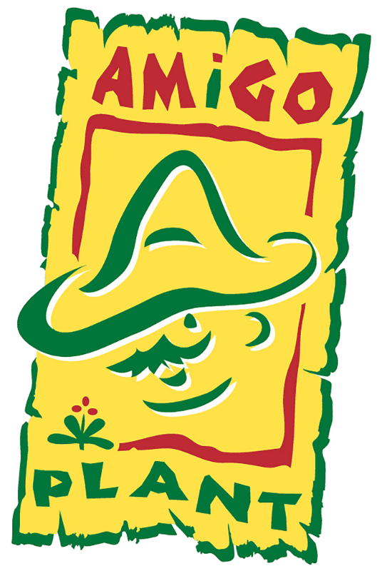 Amigo plant