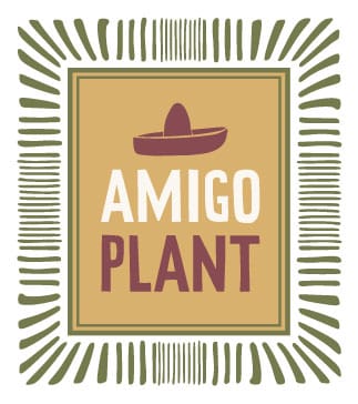 Amigo plant